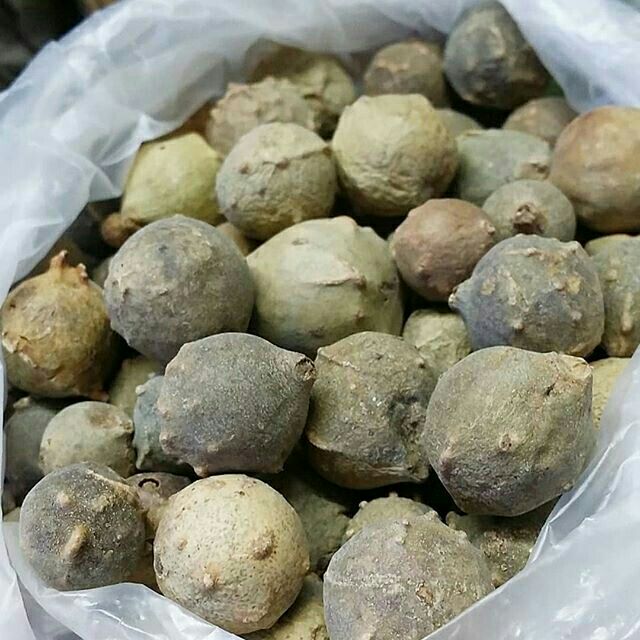 Manjakani